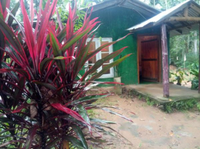 Kapila's wild heaven Ella